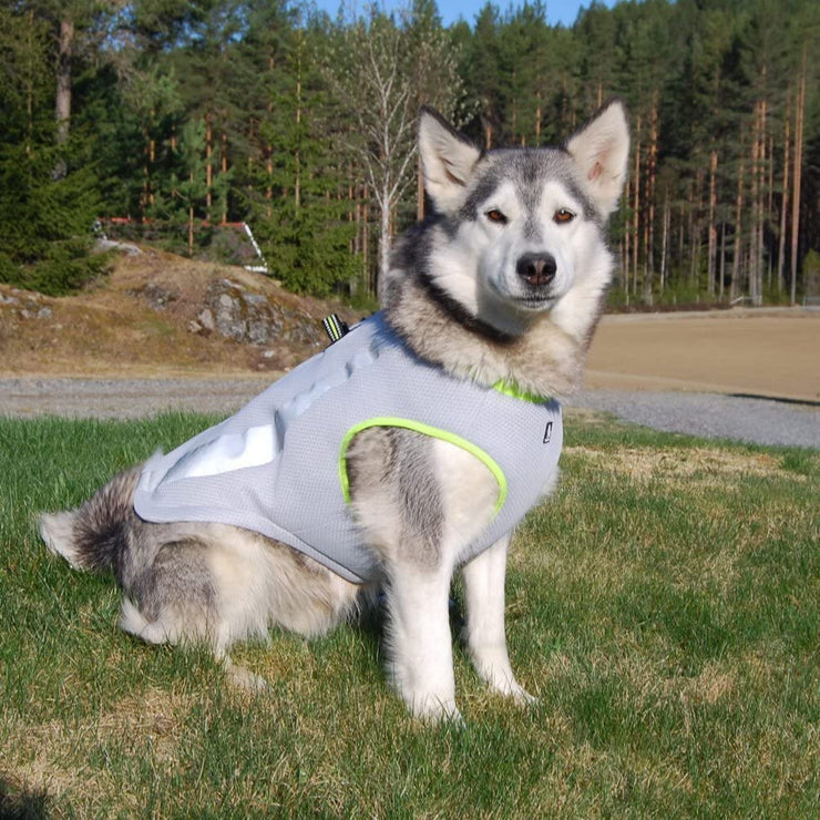 Petsvit™ Dog Cooling Vest